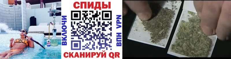 Купить  Чехов  Бутират бутик 