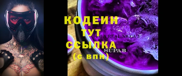 шишки Пестово