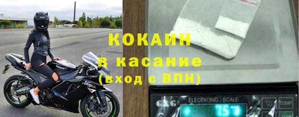 прущие грибы Переславль-Залесский