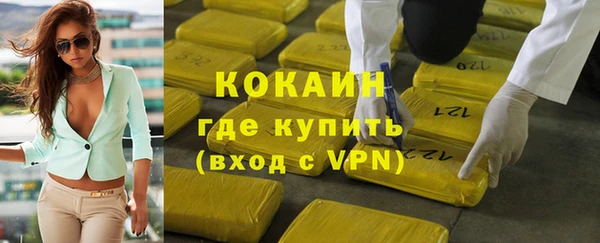 шишки Пестово