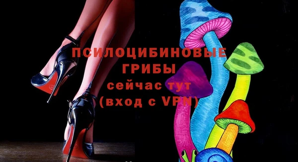 прущие грибы Переславль-Залесский
