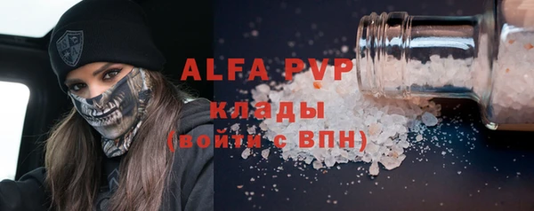 прущие грибы Переславль-Залесский