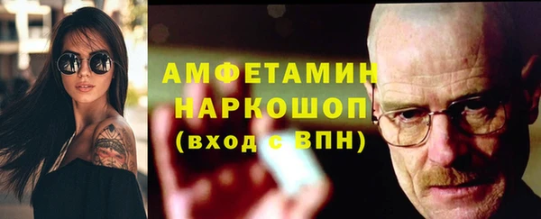 прущие грибы Переславль-Залесский