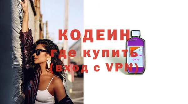 прущие грибы Переславль-Залесский