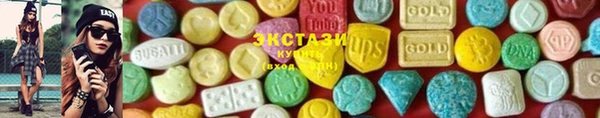 шишки Пестово