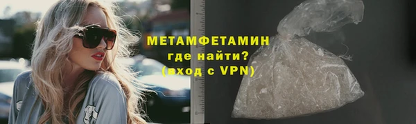 прущие грибы Переславль-Залесский