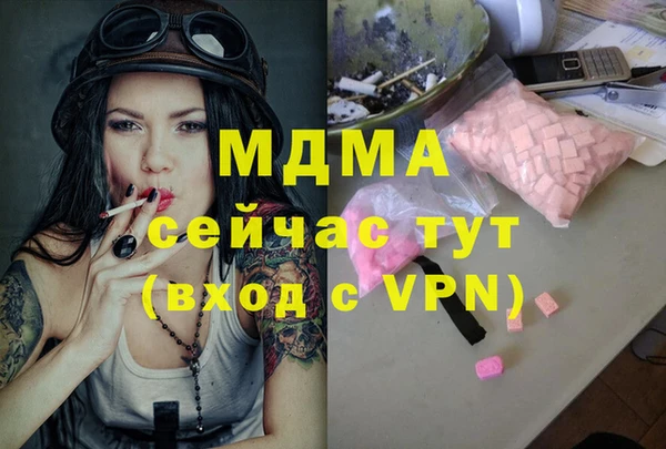 прущие грибы Переславль-Залесский