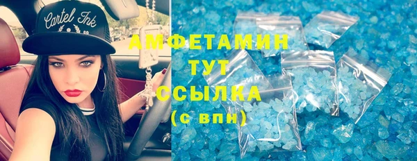 шишки Пестово