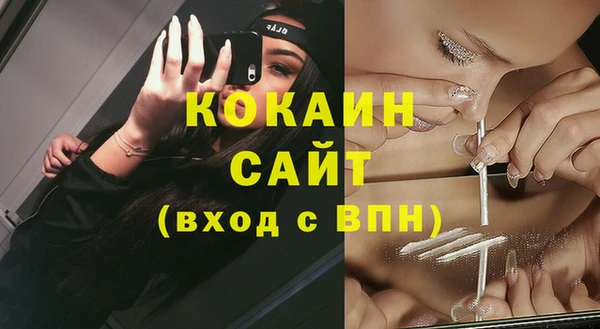 шишки Пестово