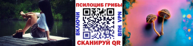 Купить закладки  Чехов  Псилоцибиновые грибы мицелий